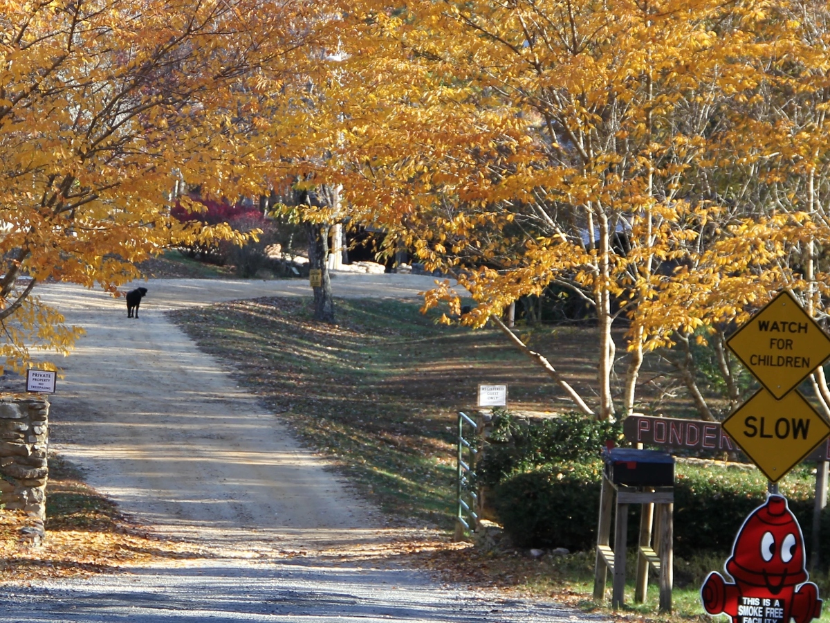 Ponderosa Retreat Center