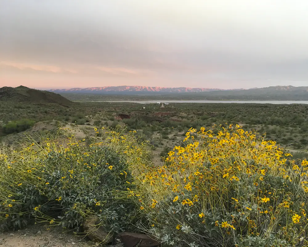 Sonoran Desert Sanctuary