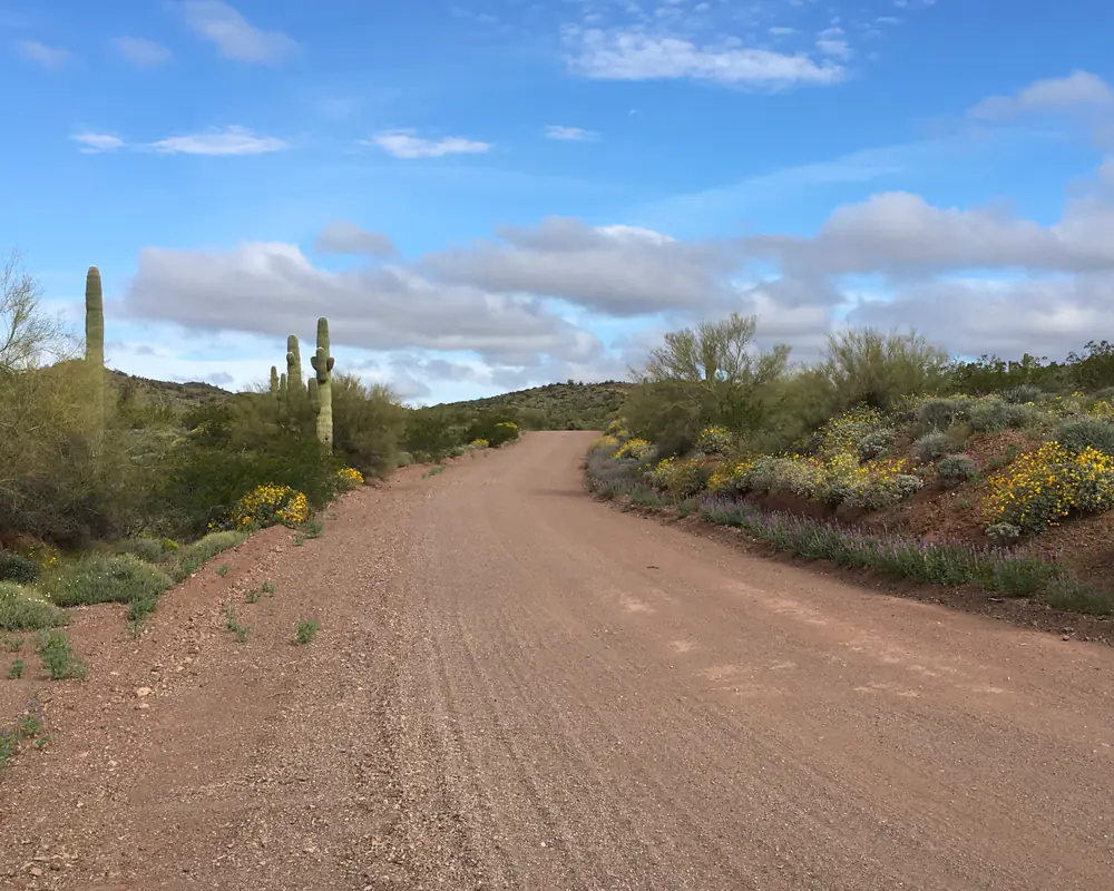 Sonoran Desert Sanctuary