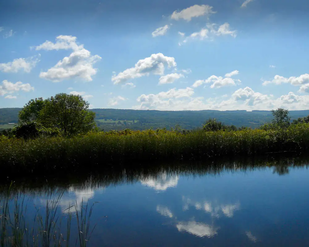 Springwater Center