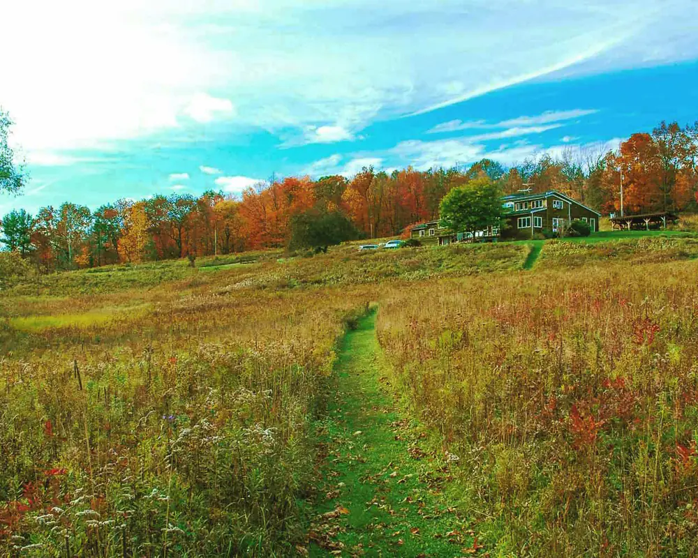 Springwater Center