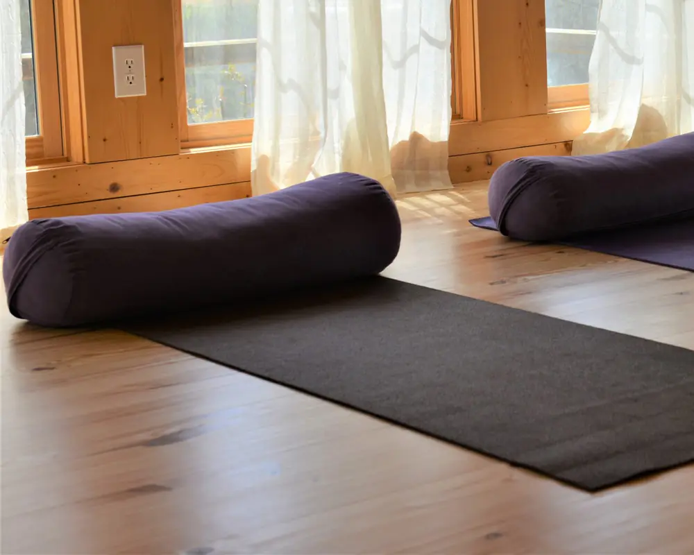 Prama Institute & Wellness Center