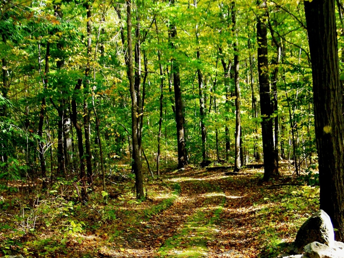 Kirkridge Retreat Center