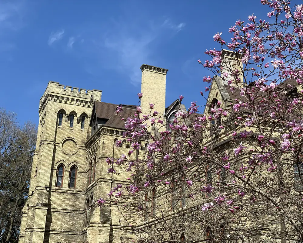 The DeKoven Center